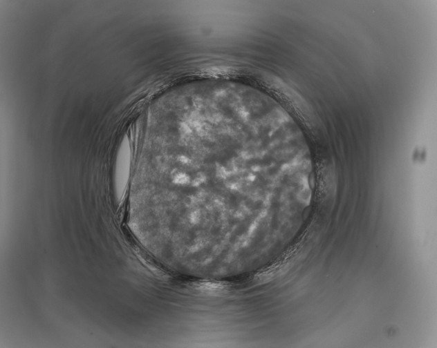 X0000097290313200803141516