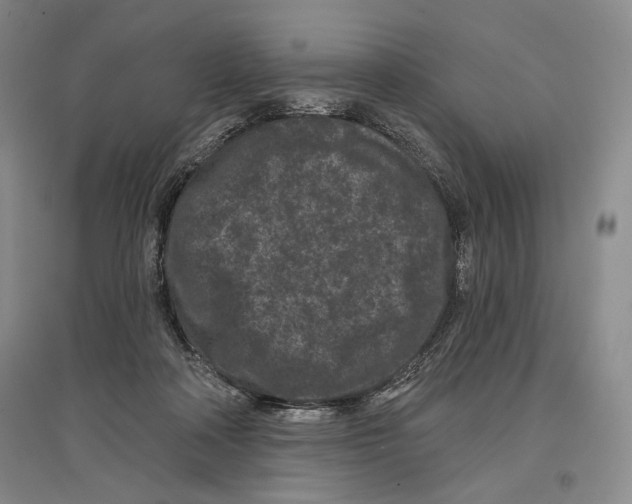 X0000097290314200803141516