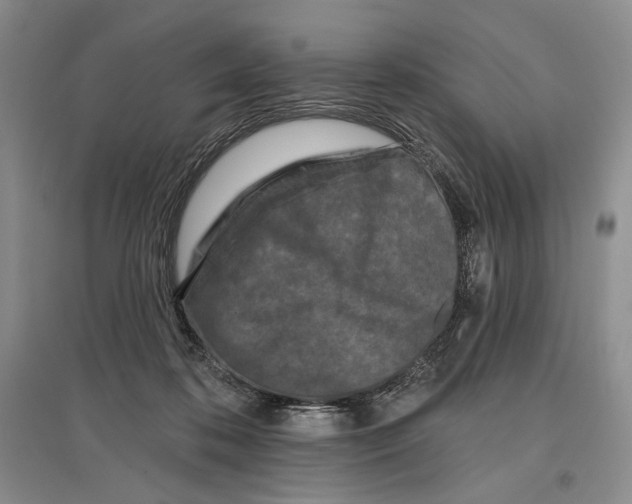 X0000097290316200803141516
