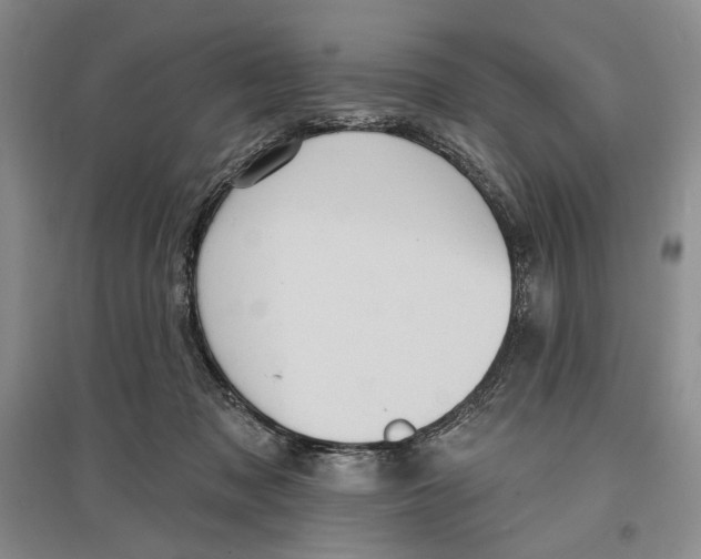 X0000097290317200803141516