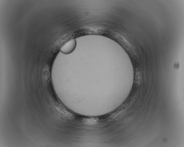 X0000097290318200803141516