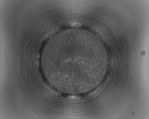 X0000097290319200803141516