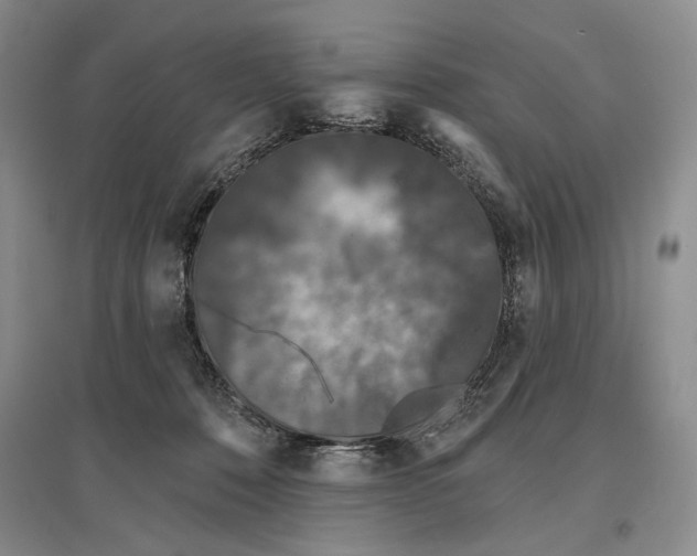 X0000097290320200803141516