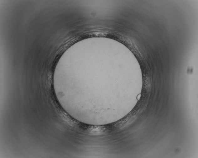 X0000097290321200803141516
