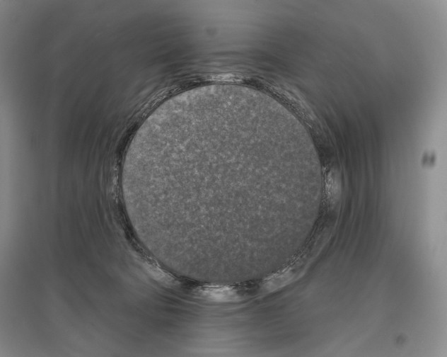 X0000097290322200803141516