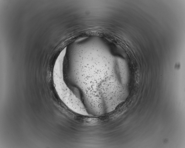 X0000097290324200803141516