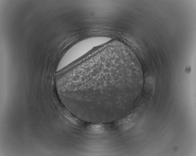 X0000097290325200803141516