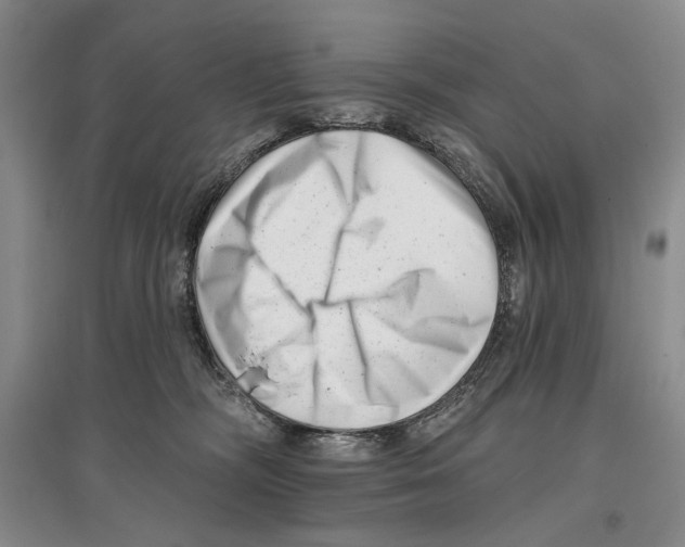 X0000097290326200803141516