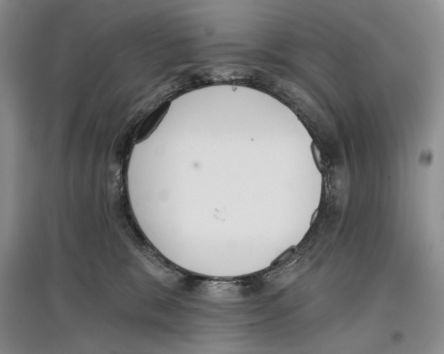 X0000097290327200803141516