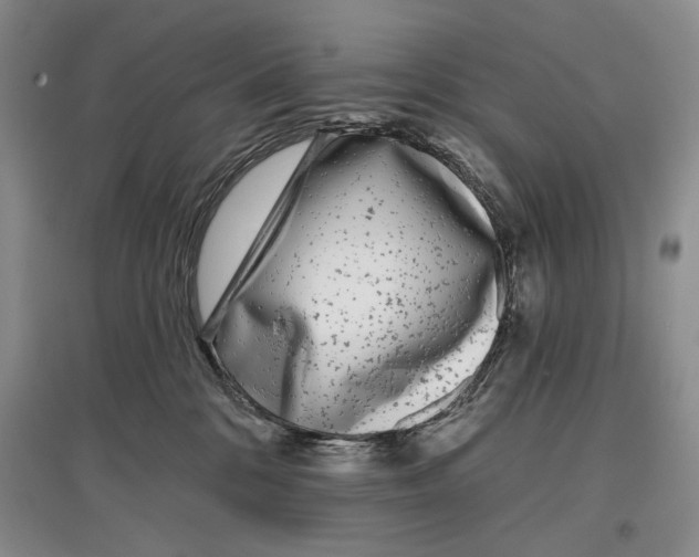 X0000097290328200803141516