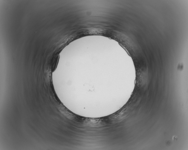 X0000097290329200803141516