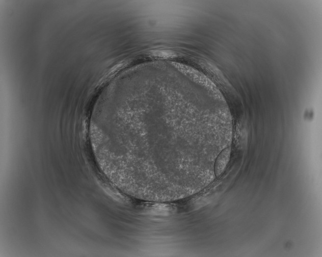 X0000097290330200803141516