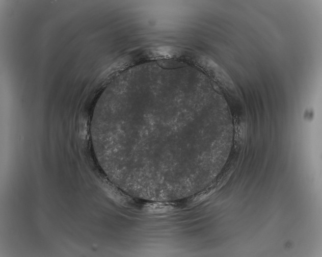 X0000097290331200803141516