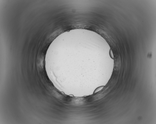 X0000097290334200803141516