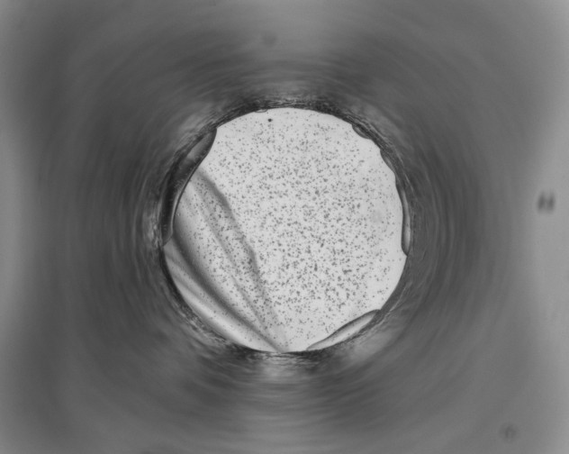 X0000097290336200803141516