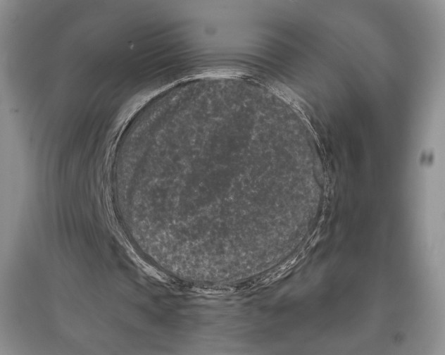 X0000097290337200803141515