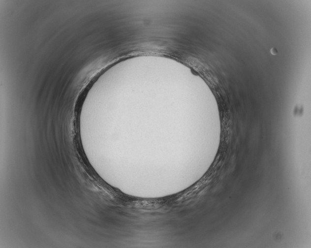 X0000097290338200803141515