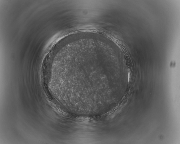 X0000097290339200803141515