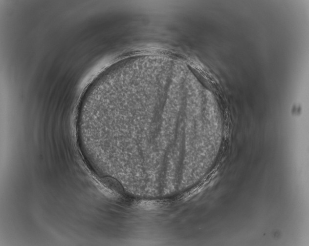 X0000097290341200803141515