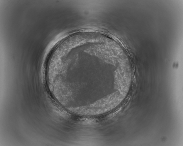 X0000097290343200803141515