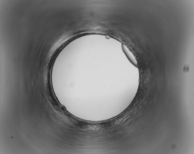 X0000097290344200803141515