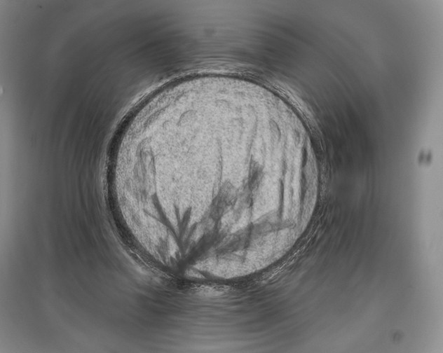 X0000097290346200803141515