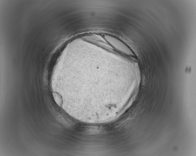 X0000097290347200803141515