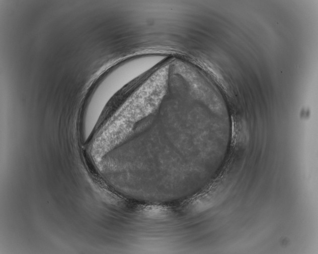 X0000097290348200803141515