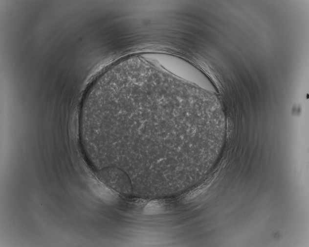 X0000097290349200803141515