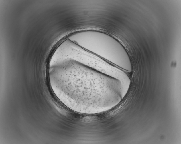 X0000097290350200803141515
