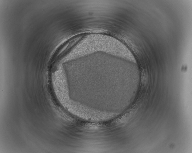 X0000097290351200803141515
