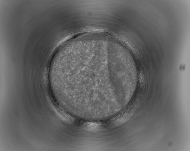 X0000097290352200803141515