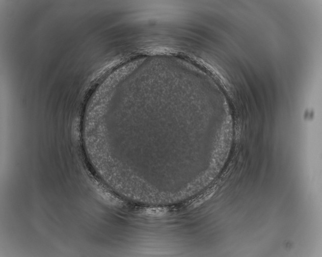 X0000097290353200803141515