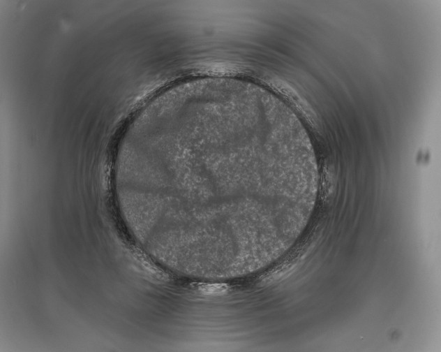 X0000097290355200803141515