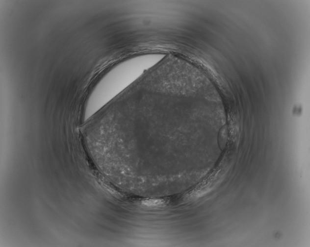 X0000097290357200803141515