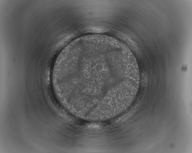 X0000097290358200803141515