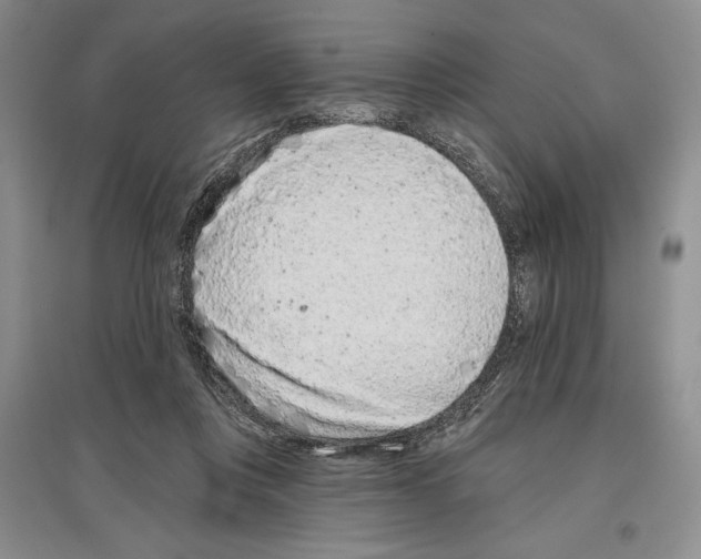 X0000097290359200803141515