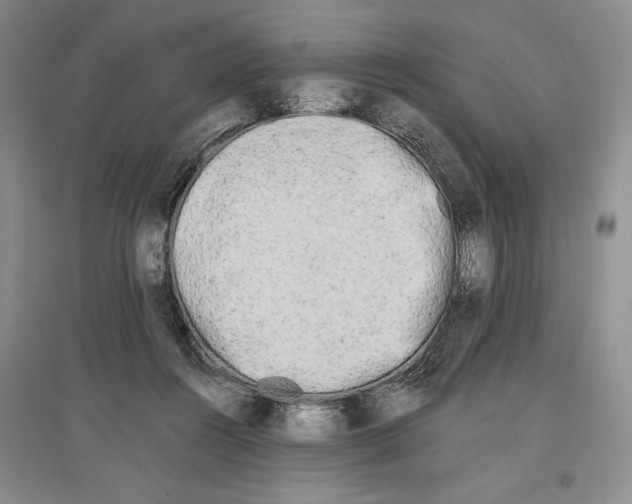 X0000097290360200803141515