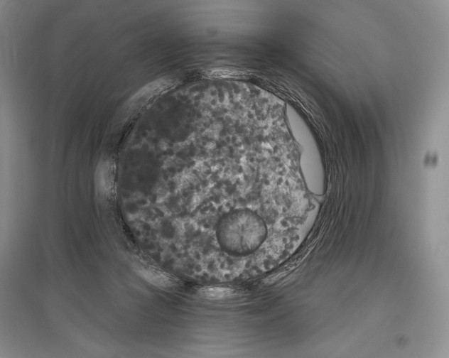 X0000097290361200803141515