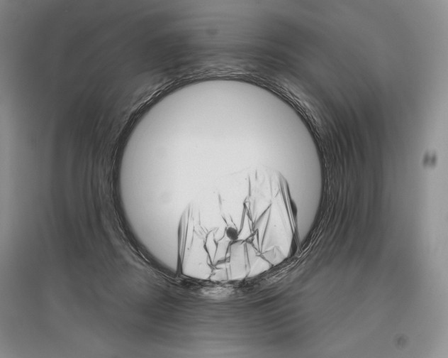 X0000097290362200803141515