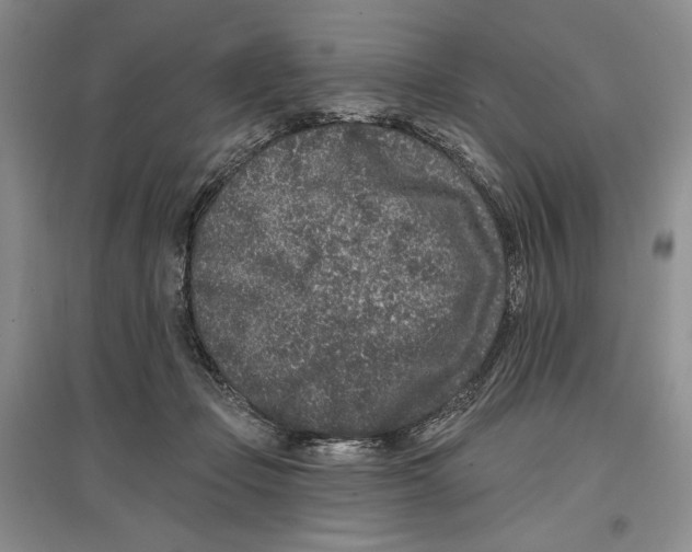 X0000097290365200803141515