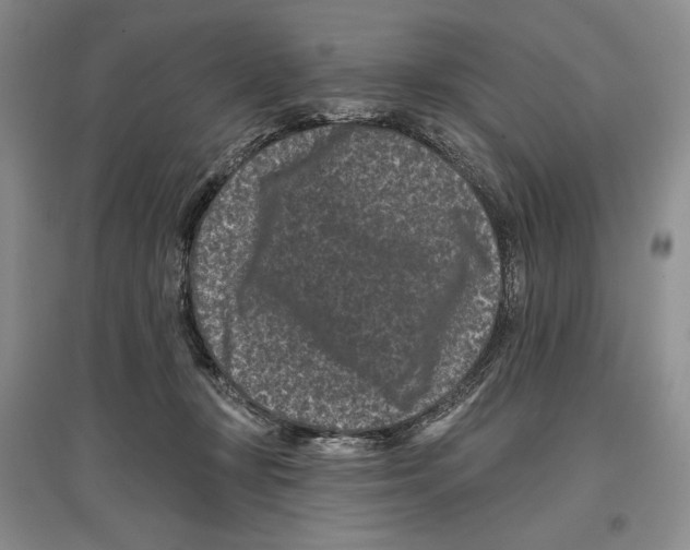 X0000097290367200803141515