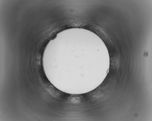 X0000097290368200803141515