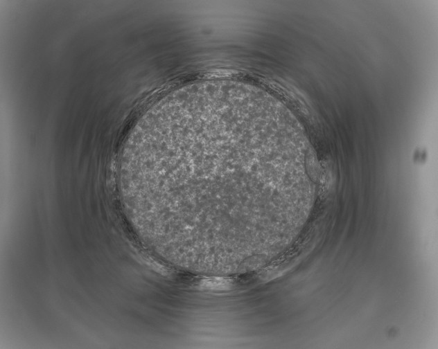 X0000097290369200803141515