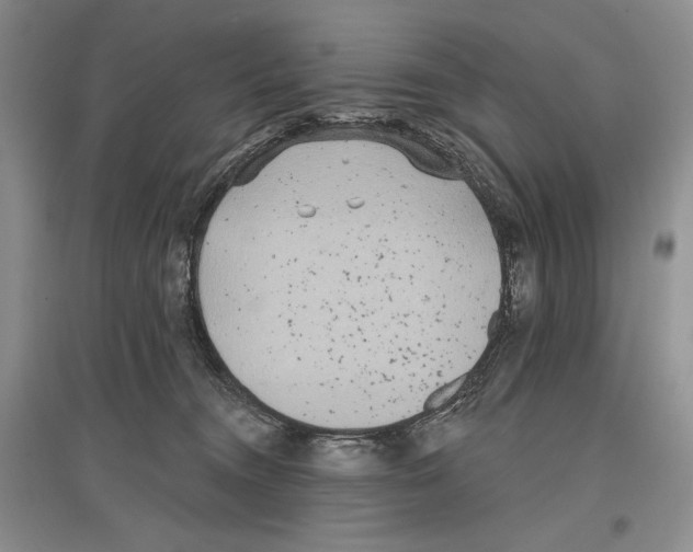 X0000097290372200803141515