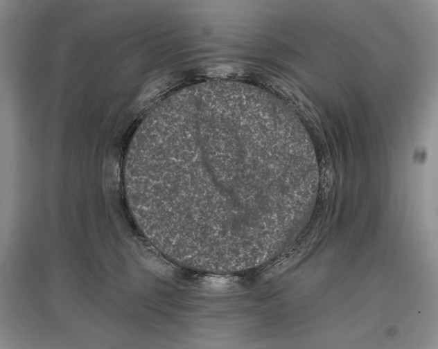 X0000097290375200803141515