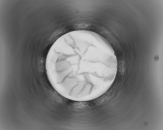 X0000097290378200803141515