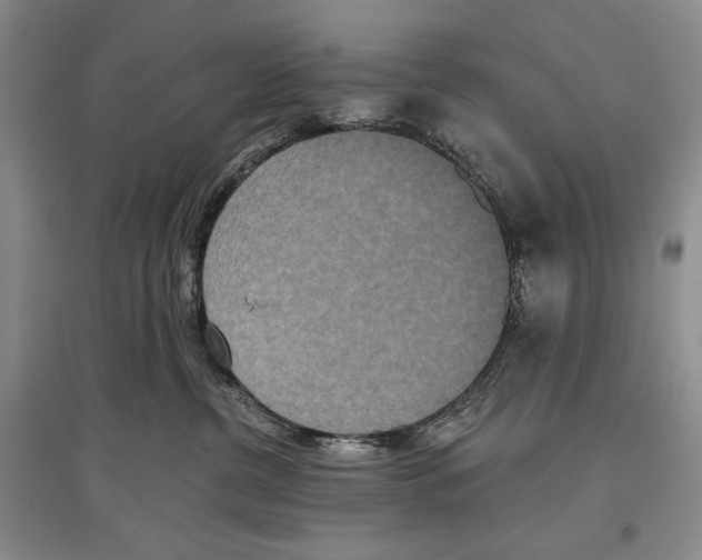X0000097290380200803141516