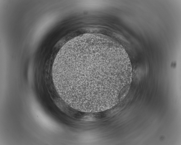 X0000097290381200803141516