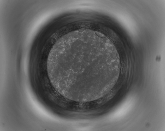 X0000097290383200803141516